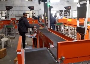 DENEB 8 Way Carriage Belt Sorter