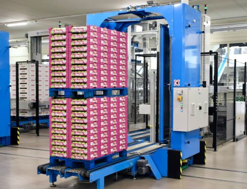 Revolutionising warehousing: The rise of automation in logistics